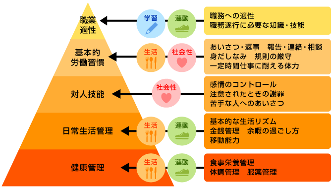 職業準備性のピラミッド